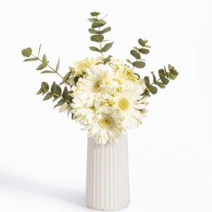 Vazoda Beyaz Gerbera