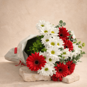 Kırmızı Beyaz Gerbera Buketi
